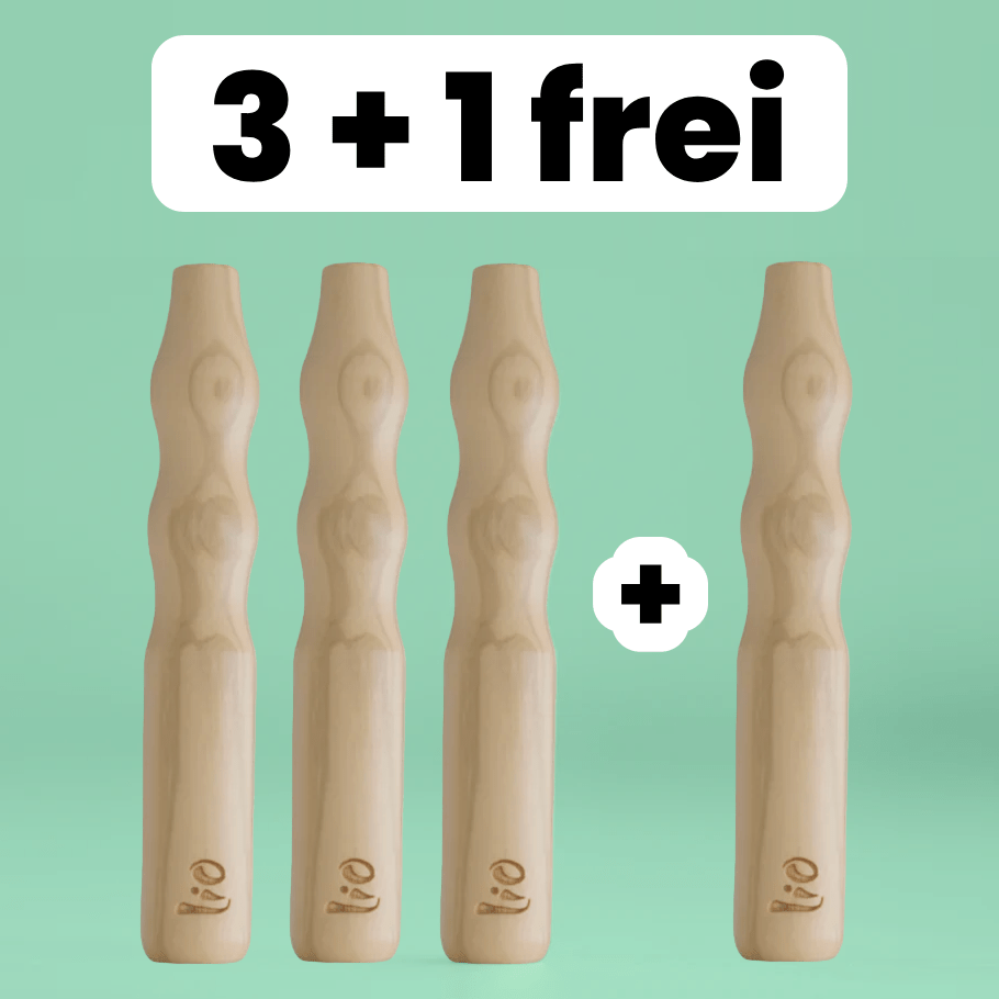 Lio Journey Paket